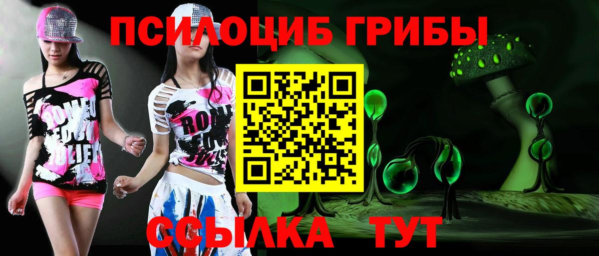 Димитровград  как найти закладки  Вход с VPN  Псилоцибиновые грибы мицелий 